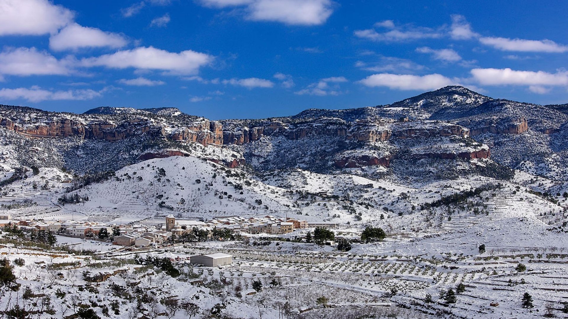 圣山下的Priorat，板岩与老藤谱写的史诗