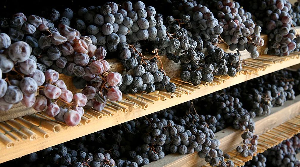 Amarone，Recioto，圣酒，意大利人是怎样将葡萄干酿出了这么多花样？