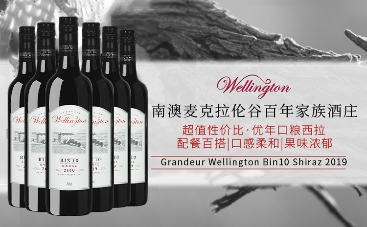 【单支不到29,老板血亏一地的澳洲设拉子口粮!】Grandeur Wellington Bin10 Shiraz 2019 六支原箱