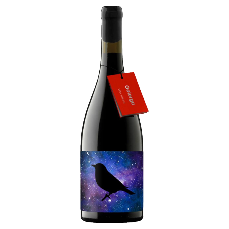 Vina Zorzal Golerga 2023