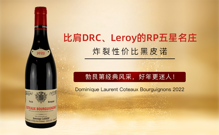 【白菜价勃艮第!RP五星+B&D四星名庄,勃艮第经典风采】Dominique Laurent Coteaux Bourguignons 2022 套餐自选
