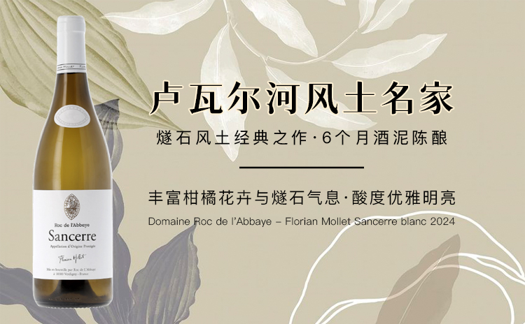 【一口喝懂桑塞尔燧石风土精华!】Domaine Roc de l'Abbaye - Florian Mollet Sancerre Blanc 2024