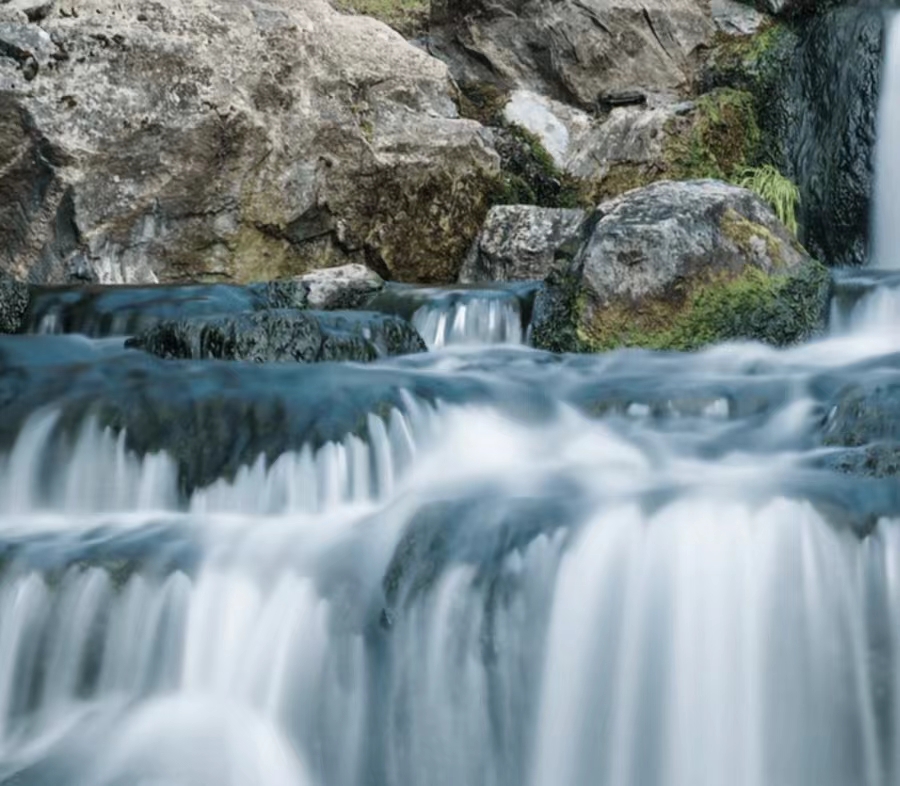 Domaine William F&egrave;vre | Union des Grands Crus de Chablis