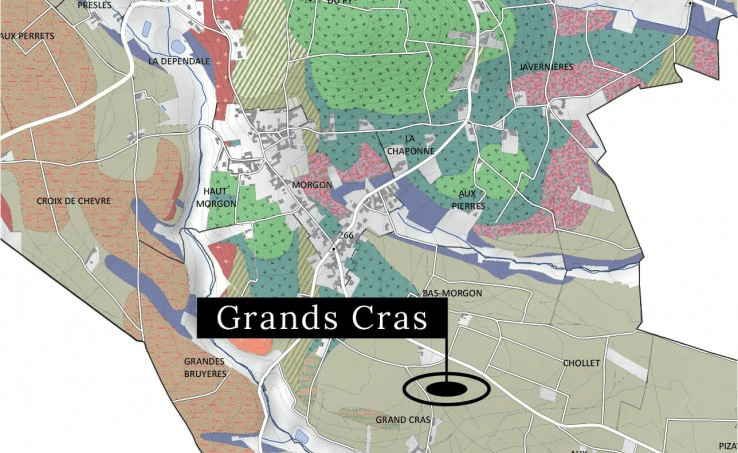 Learn about Chateau Moulin Saint Georges St. Emilion Complete Guide