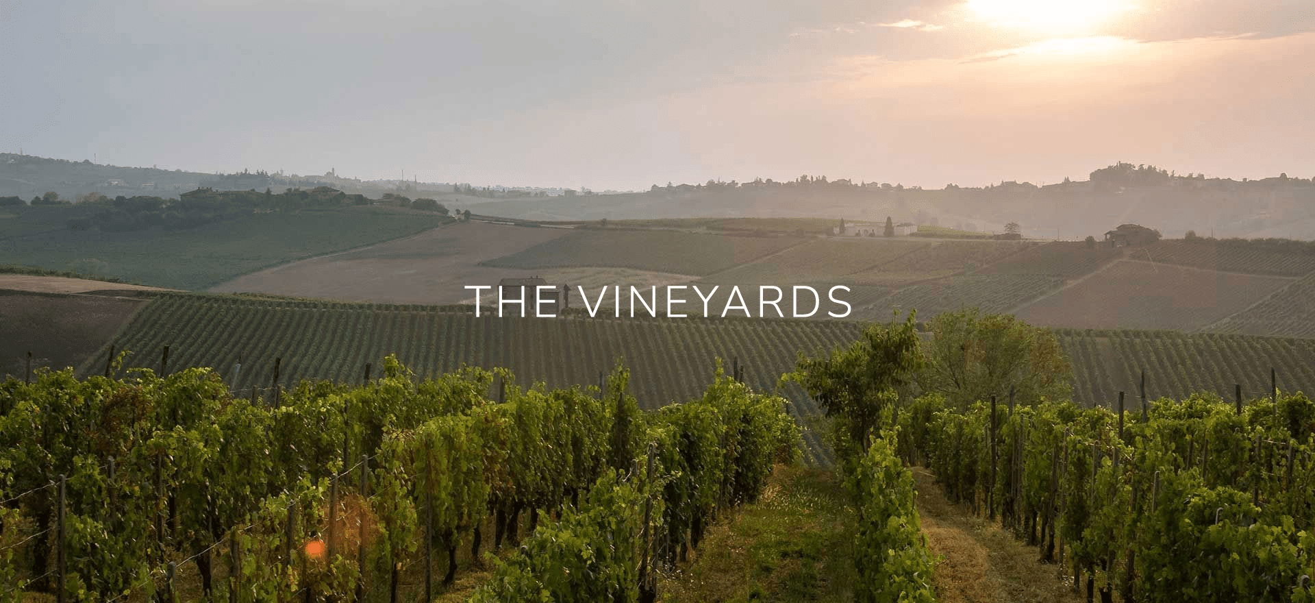 Marcassin, Marcassin Vineyard, Pinot Noir, Sonoma Coast 2012 ...