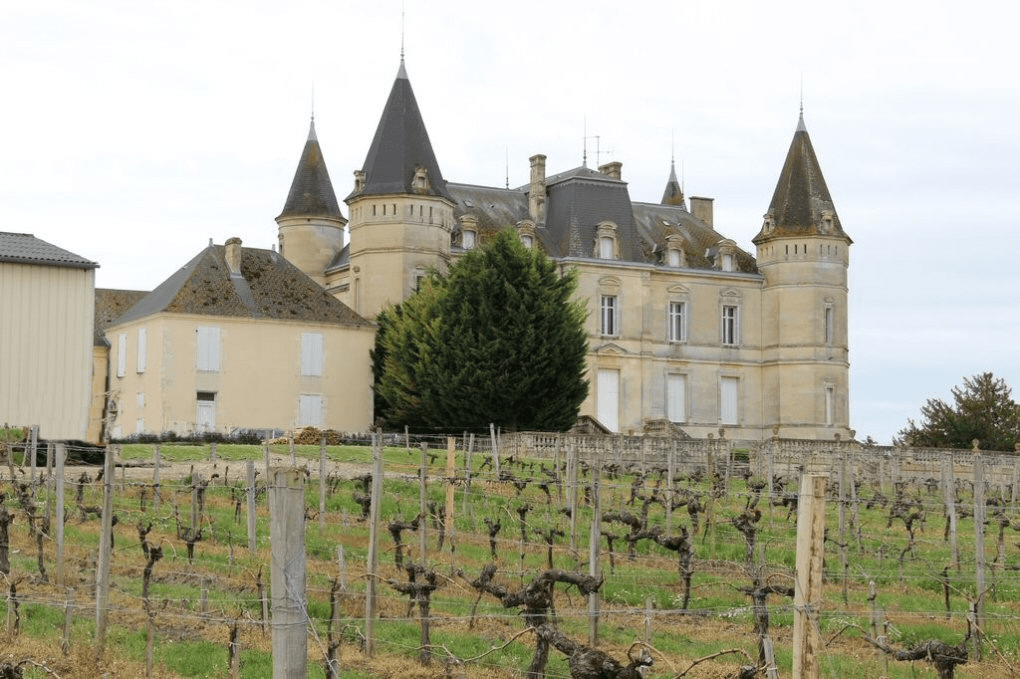 2015 Domaine Clos Saint-Jean Chateauneuf du Pape Deus-Ex-Machina ...