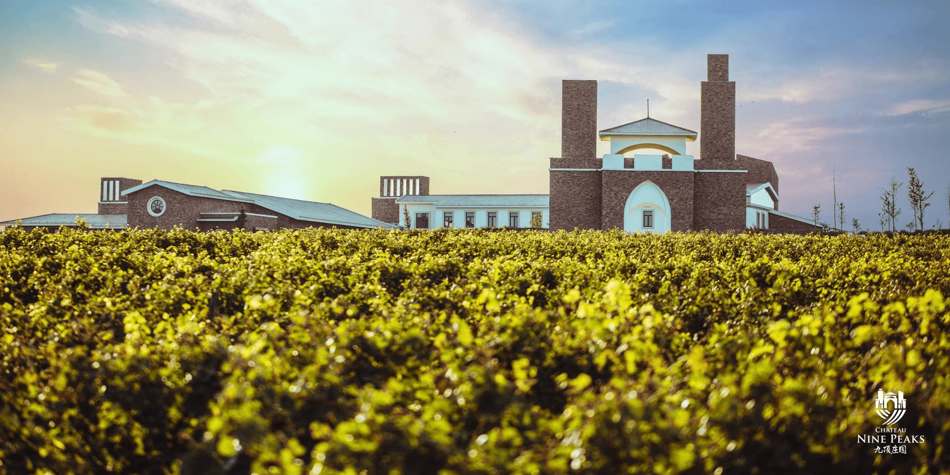 Champagne Alfred Gratien : 595, la premi&egrave;re cuv&eacute;e solera